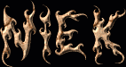 Niek First Name