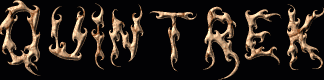Quintrek First Name
