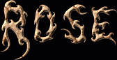 Rose First Name