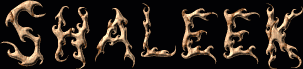 Shaleek First Name