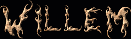 Willem First Name