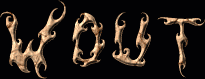 Wout First Name