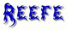 Reefe First Name