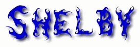 Shelby First Name