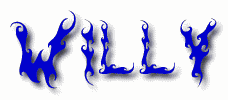 Willy First Name