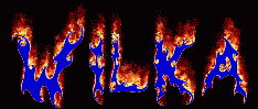 Wilka First Name