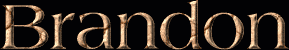 Brandon First Name