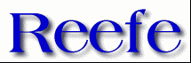 Reefe First Name
