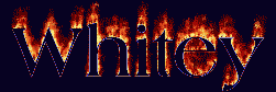 Whitey First Name