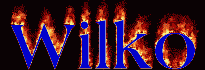 Wilko First Name