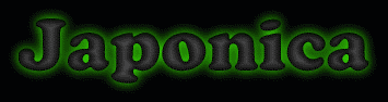 Japonica First Name