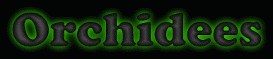 Orchidees First Name