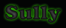 Sully First Name