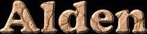 Alden First Name