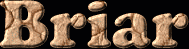 Briar First Name