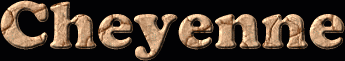 Cheyenne First Name