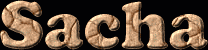 Sacha First Name
