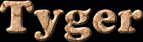Tyger First Name