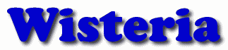 Wisteria First Name