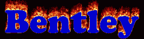 Bentley First Name