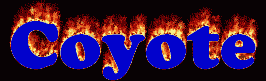 Coyote First Name