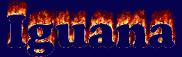 Iguana First Name
