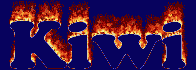 Kiwi First Name