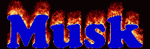 Musk First Name