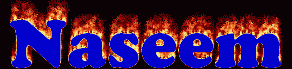 Naseem First Name