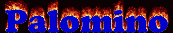 Palomino First Name