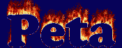 Peta First Name
