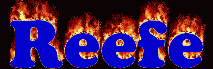 Reefe First Name
