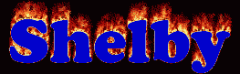 Shelby First Name