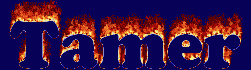 Tamer First Name