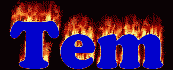 Tem First Name