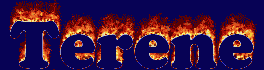 Terene First Name