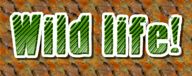 Click to make a logo like this one Wildlife